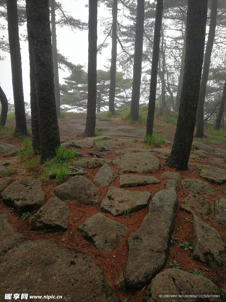 黄山美景