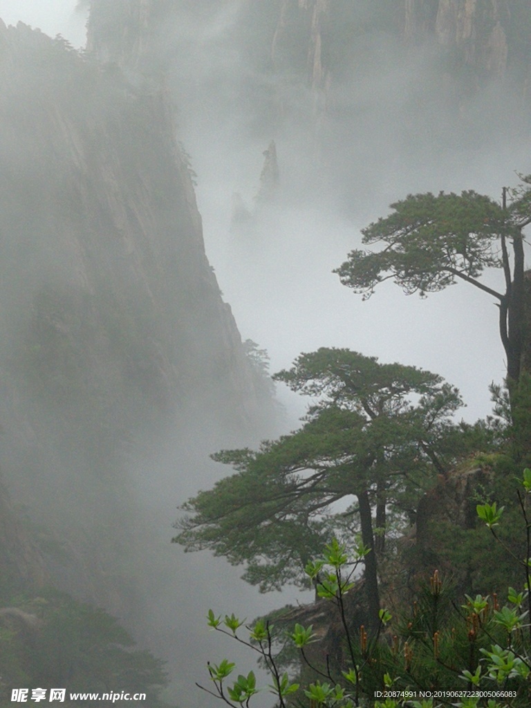 黄山美景