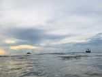 大海