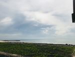 大海