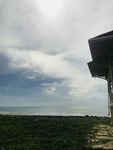 大海