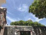 泰式建筑