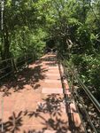 走道