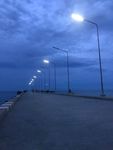 大海