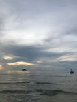 大海