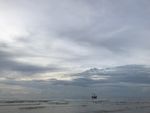 大海