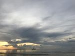 大海