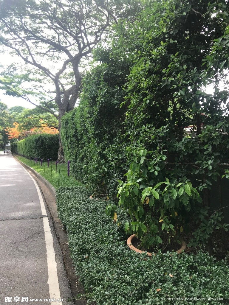 道路