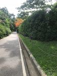 道路