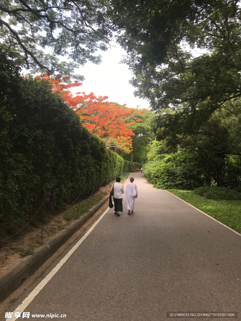 道路
