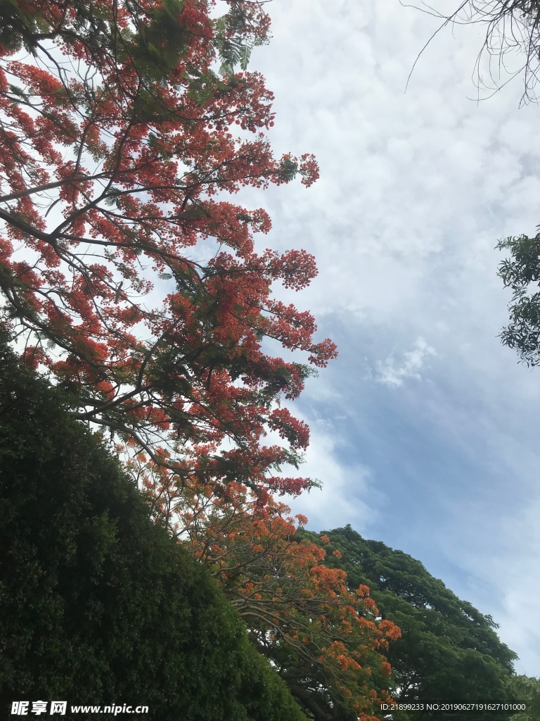 天空