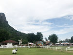 绵阳馆