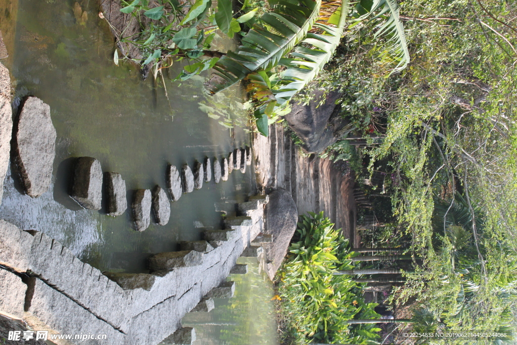植物园的石头桥