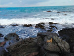济州岛