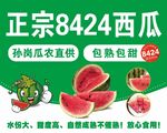 西瓜海报 8424西瓜