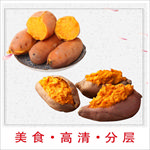 红薯素材