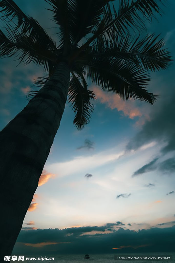 树