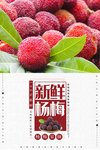 杨梅