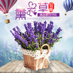 简约鲜花园艺花束薰衣草日常活动