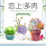 小清新植物多肉盆栽简约背景主图