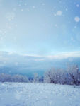 雪乡山顶清晨的雪松