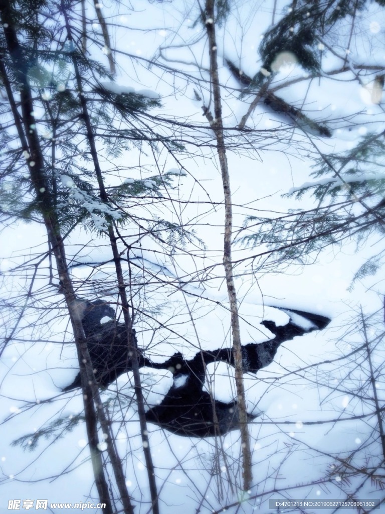 山林中的雪景色湖泊