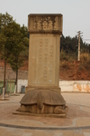 乌龟