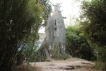 水泥树