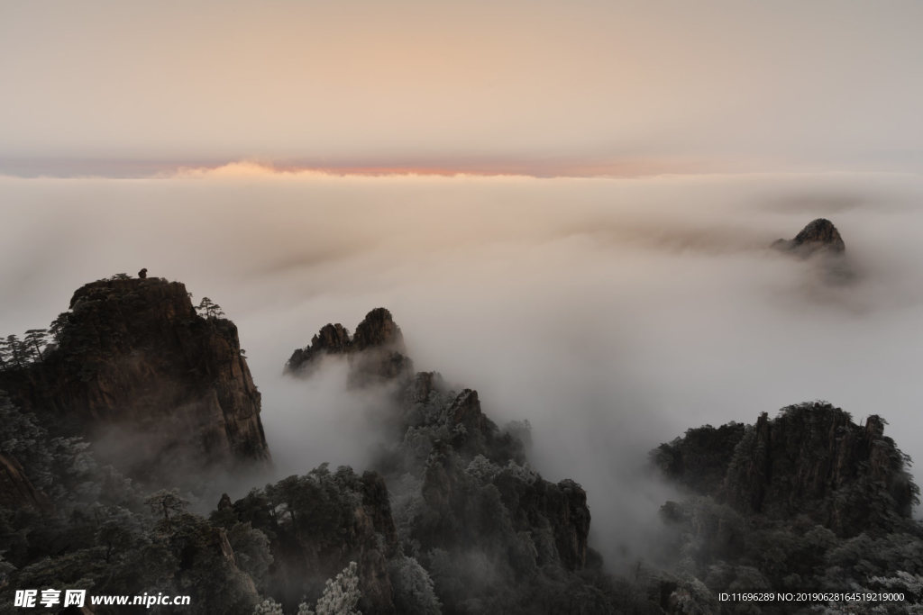 风景