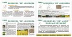夫妻树品牌 水稻种植