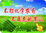 黄瓜