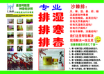 沙棘排毒 能量油 健康 内容