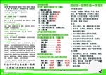沙棘排毒 能量油 健康 内容