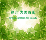 绿叶 唯美 而生 为美 绿色背