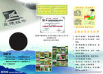 练字 传单 补课 儿童 书法