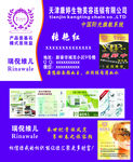 瑞倪维儿名片