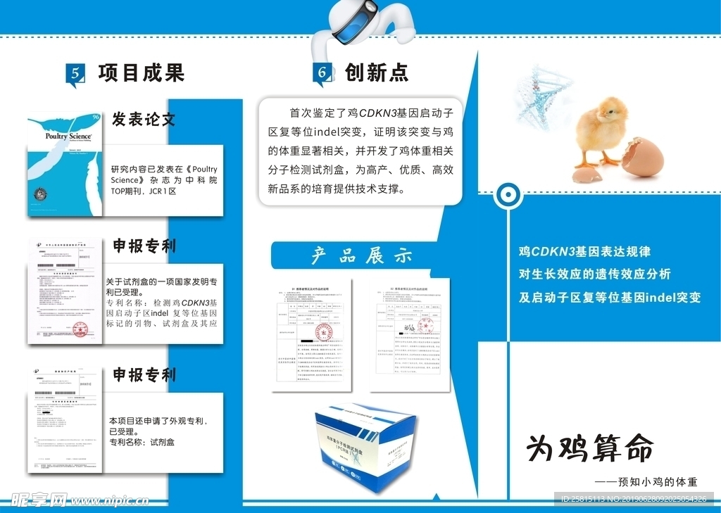 三折页