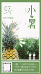 小暑