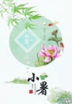 清新小暑海报