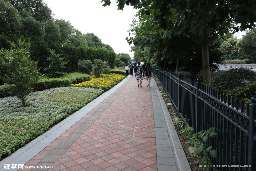 乡间小路绿植红石头路花