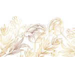 花卉
