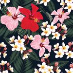 花卉