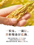 健康饮食