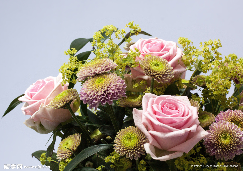 玫瑰花