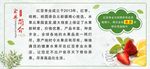 水果店简介