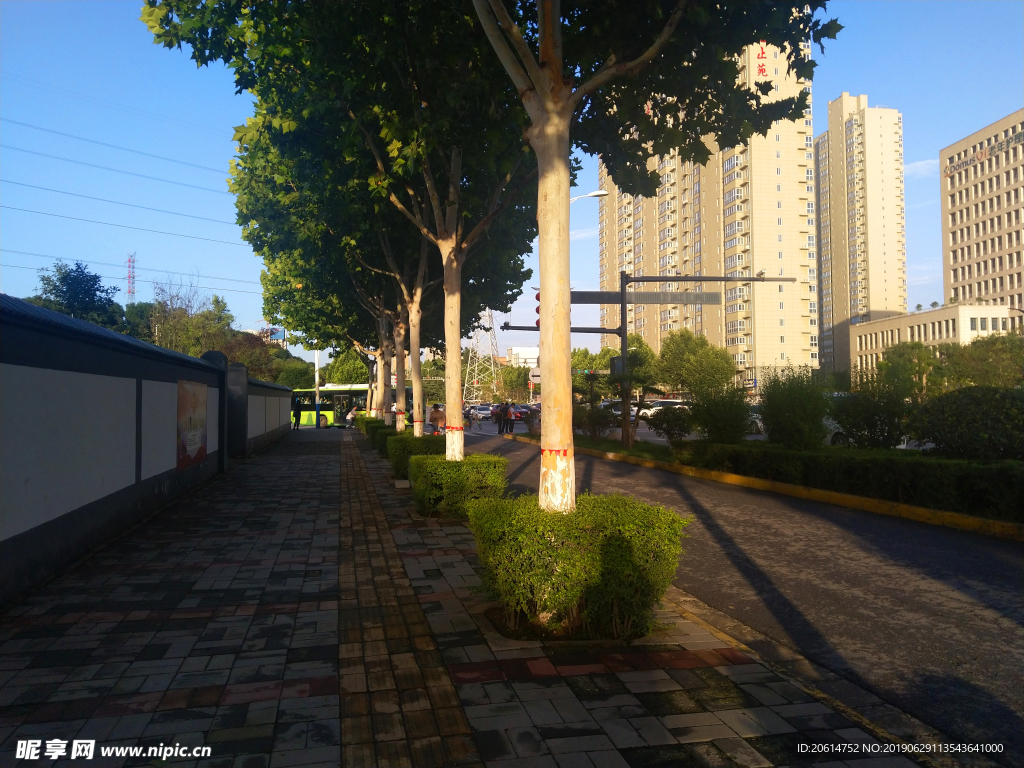 城市道路美景