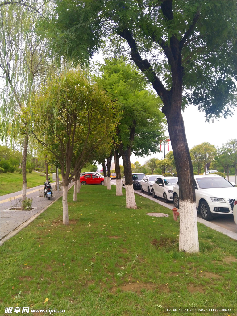 城市公园美景