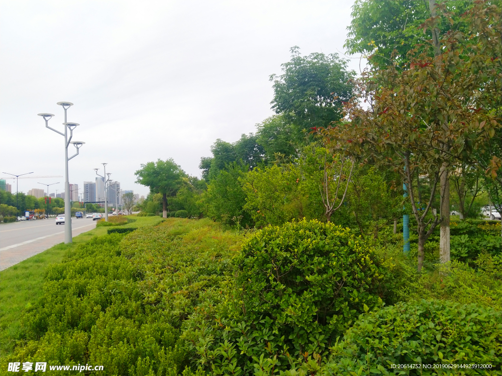 城市公园风景