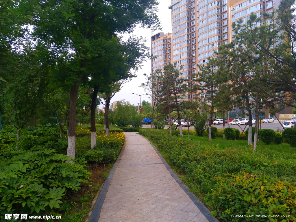 城市公园美景