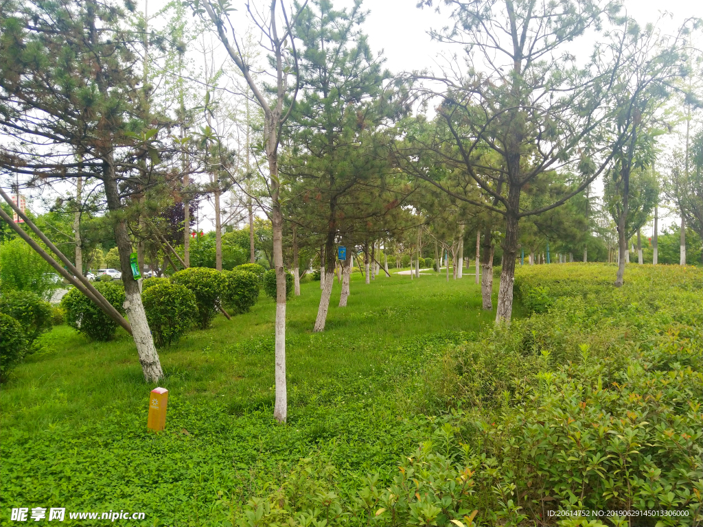 城市公园风景